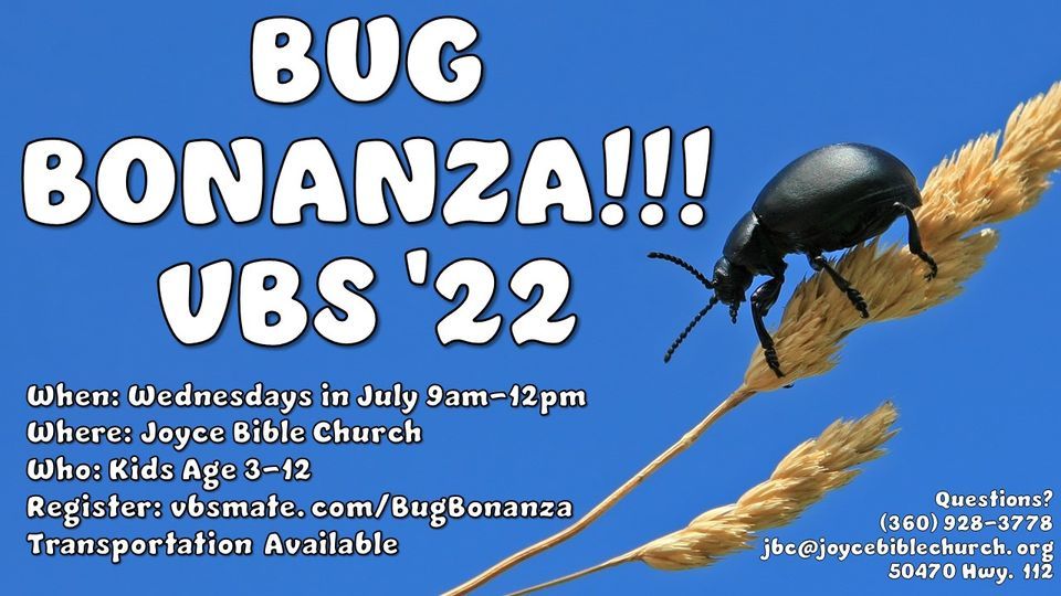 VBS 22 Bug Bonanza Joyce Bible Church Port Angeles 6 July
