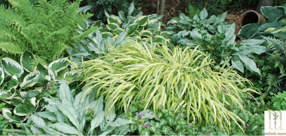 Successful Gardener - Shade Gardening Success, 5 June | Event in Monroe | AllEvents