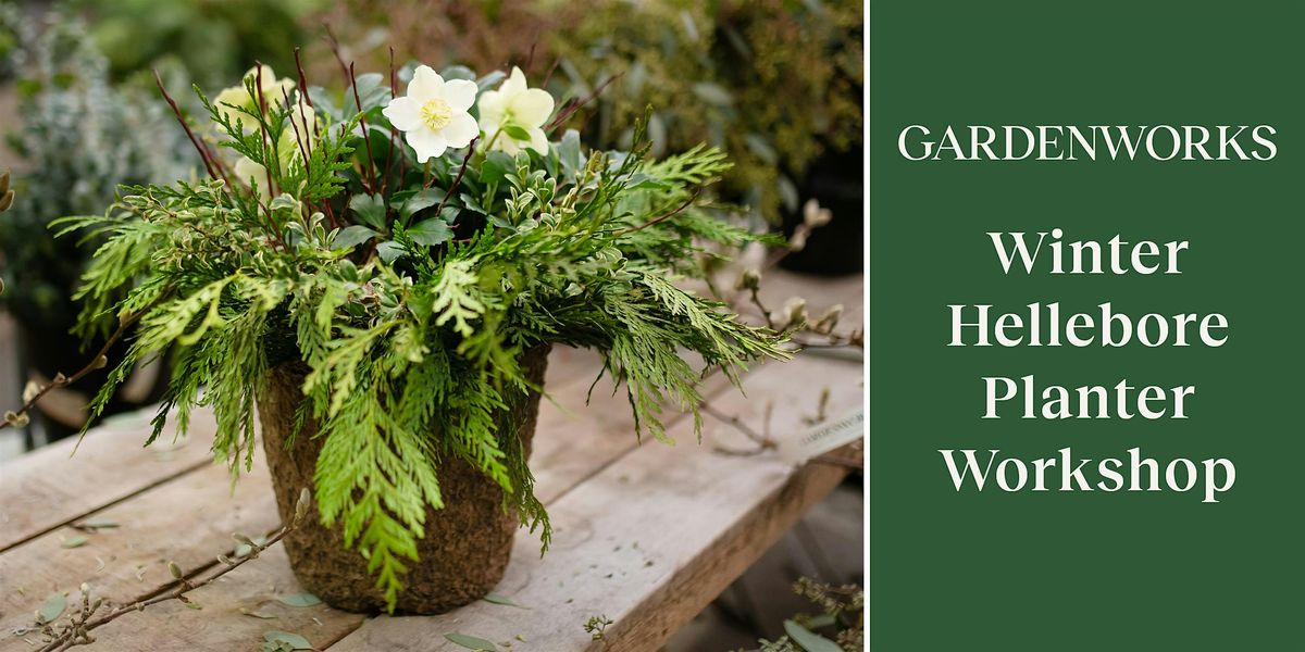 Winter Hellebore Planter Workshop at GARDENWORKS Colwood, 6 December | Event in Victoria | AllEvents