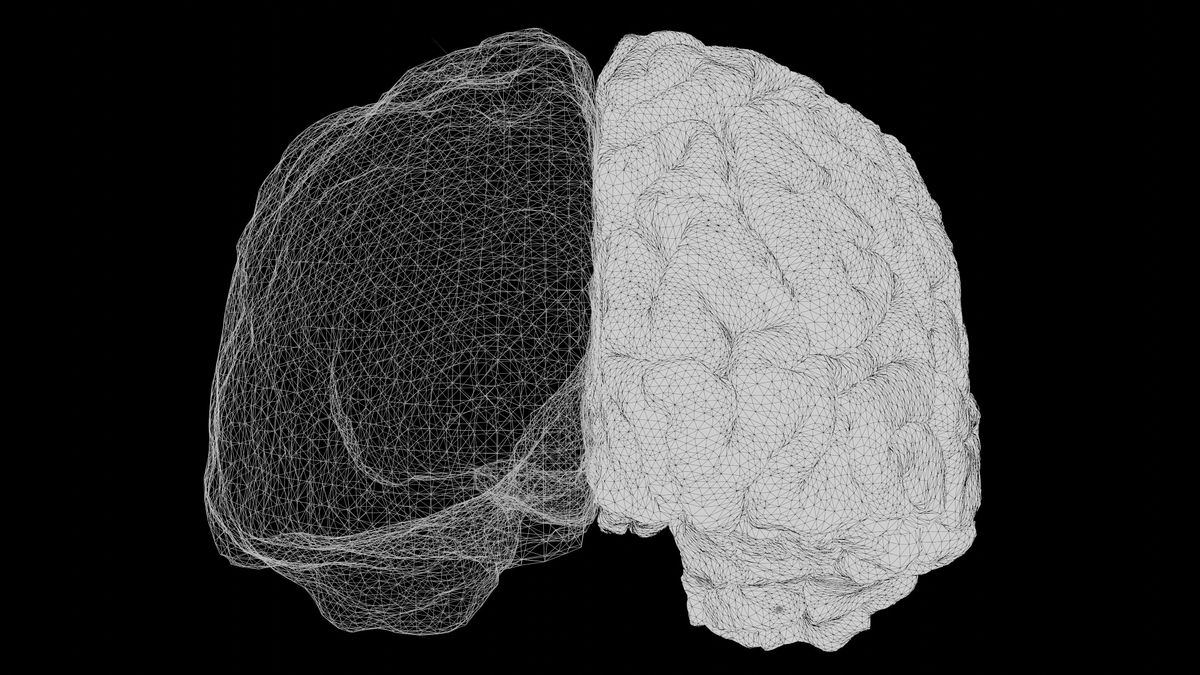 The Bilingual Brain: Unlocking Nature’s Superpower, 21 October | Event in New York | AllEvents