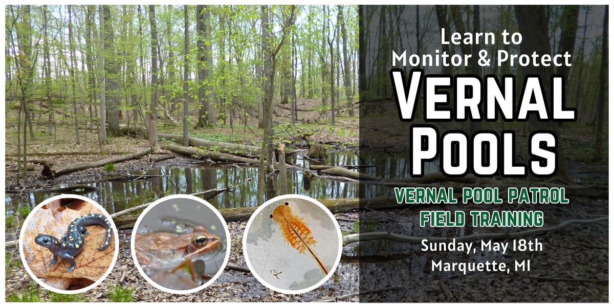 Vernal Pool Patrol Field Training - Marquette, MI | Event in Marquette | AllEvents