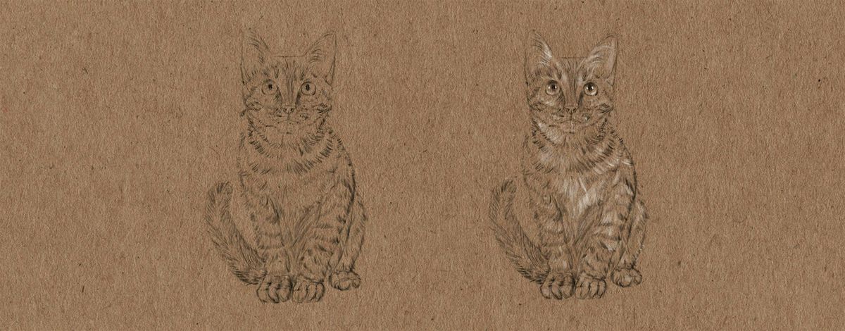 Cat Drawing and Construction with Michael Rios, 10 January | Event in Leeds | AllEvents