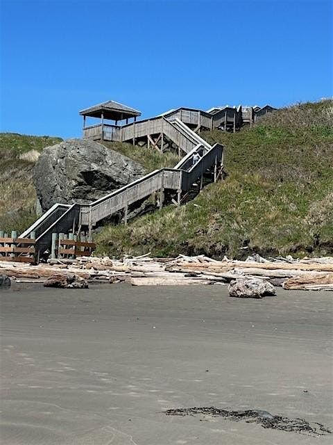 Birding at Coquille Point, 26 July | Event in Bandon | AllEvents