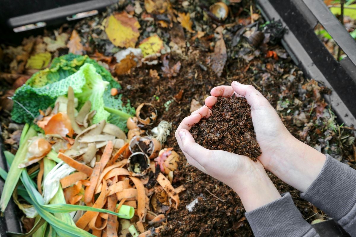 Pine Lily August Meeting - Composting at Home / Glass Recycling, 21 August | Event in Kissimmee | AllEvents