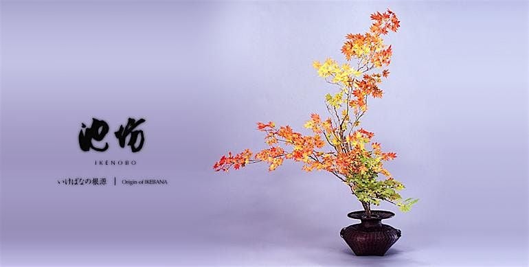 Invitation to Ikenobo Ikebana - Continuing Classes in Boulder CO (Oct), 19 October | Event in Boulder | AllEvents