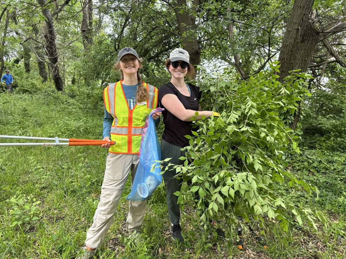 Invasive Honeysuckle Removal for National Public Lands Day, 27 September | Event in Arlington | AllEvents