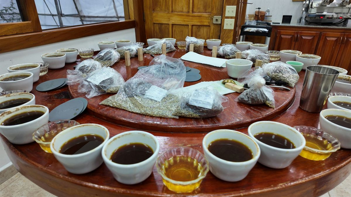 Cupping and Brewing: Gissell Garrido’s Mokkita, Mokka & More, 1 August | Event in New York | AllEvents
