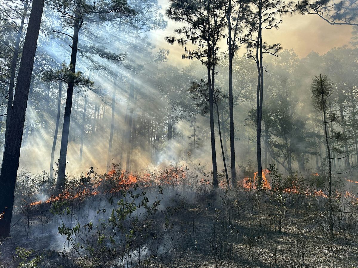 Mountain Longleaf PBA Workshop - Rome, GA., 30 July | Event in Rome | AllEvents