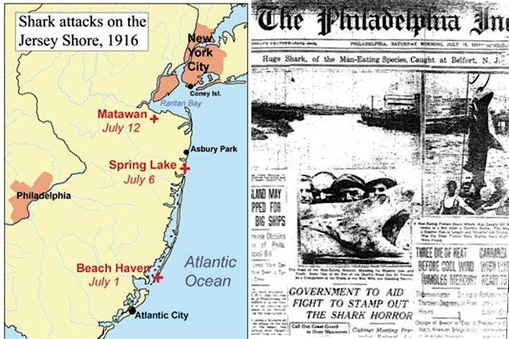 Was the White Shark the Right Shark?, 9 July | Event in Middletown Township | AllEvents