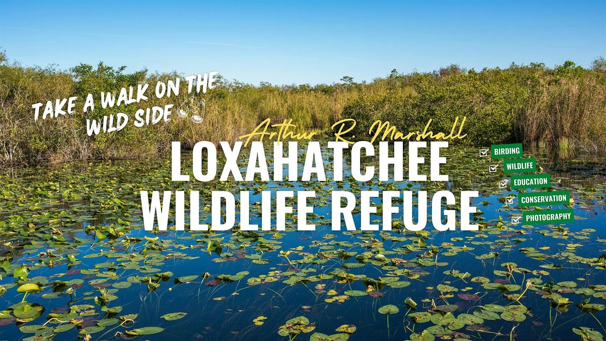 Birding Arthur R. Marshall Loxahatchee NWR with Kar DeGeiso, 7 February | Event in Boynton Beach | AllEvents