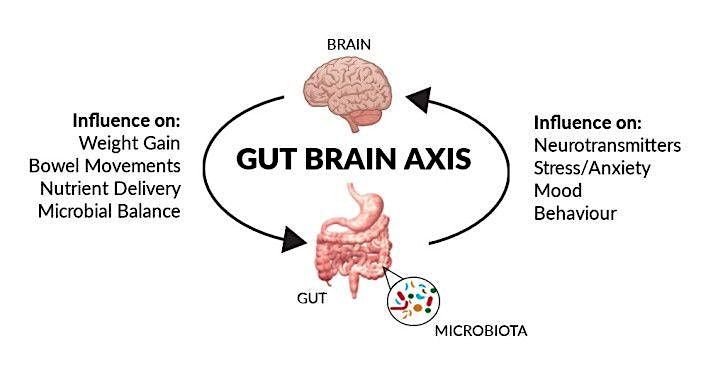 Health Care Talk: Chiropractic & Our Digestion, 2 August | Event in Cape Coral | AllEvents