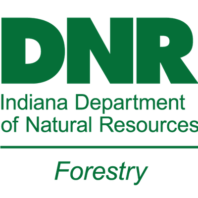 Indiana DNR Division of Forestry logo