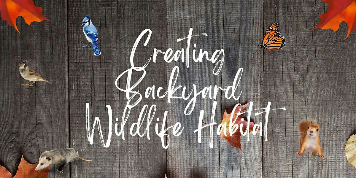 All About Frogs: A Family Friendly Workshop, 26 July | Event in Vero Beach | AllEvents