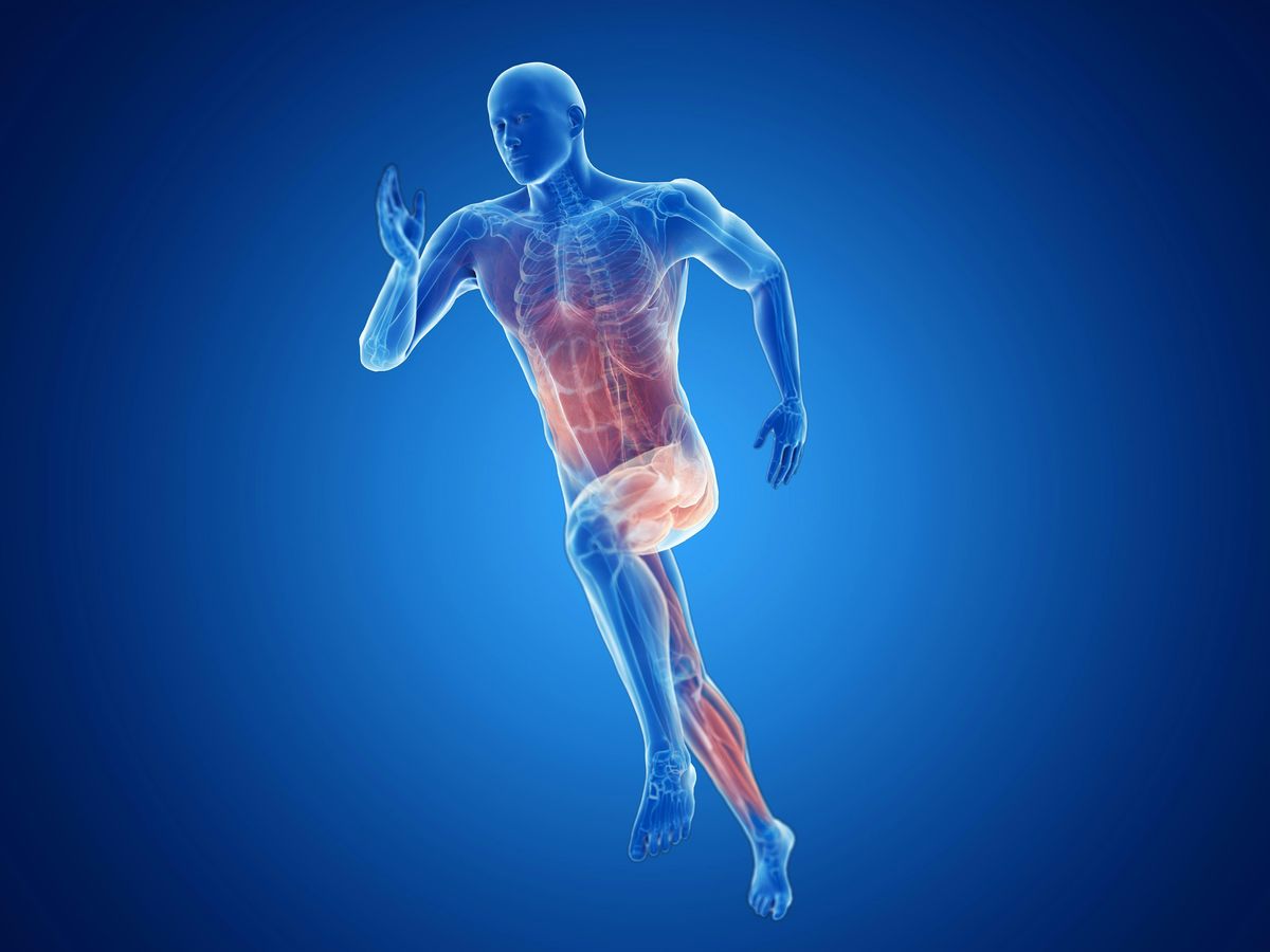 2025 HOI Sports Medicine Symposium, 13 June | Event in Orange | AllEvents