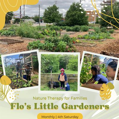 Natural Flo llc logo