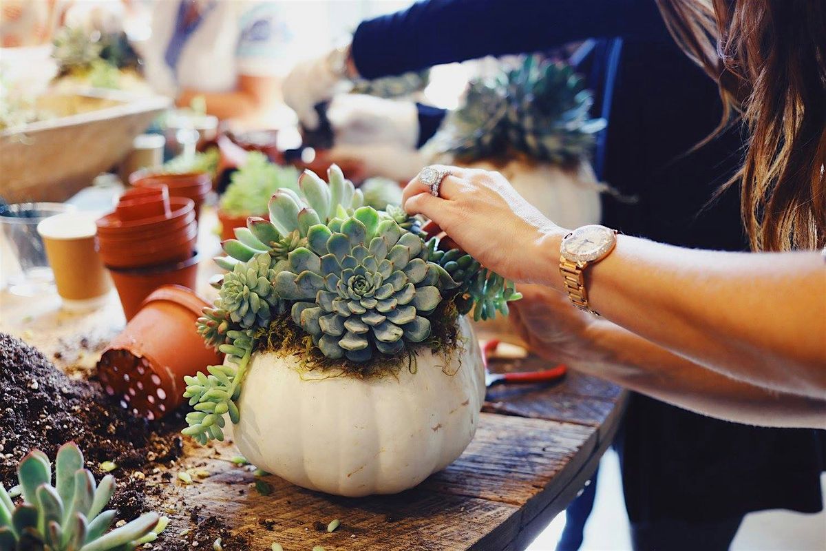 Pumpkin Succulent Workshop at Other Half Brewing, 7 October | Event in Philadelphia | AllEvents