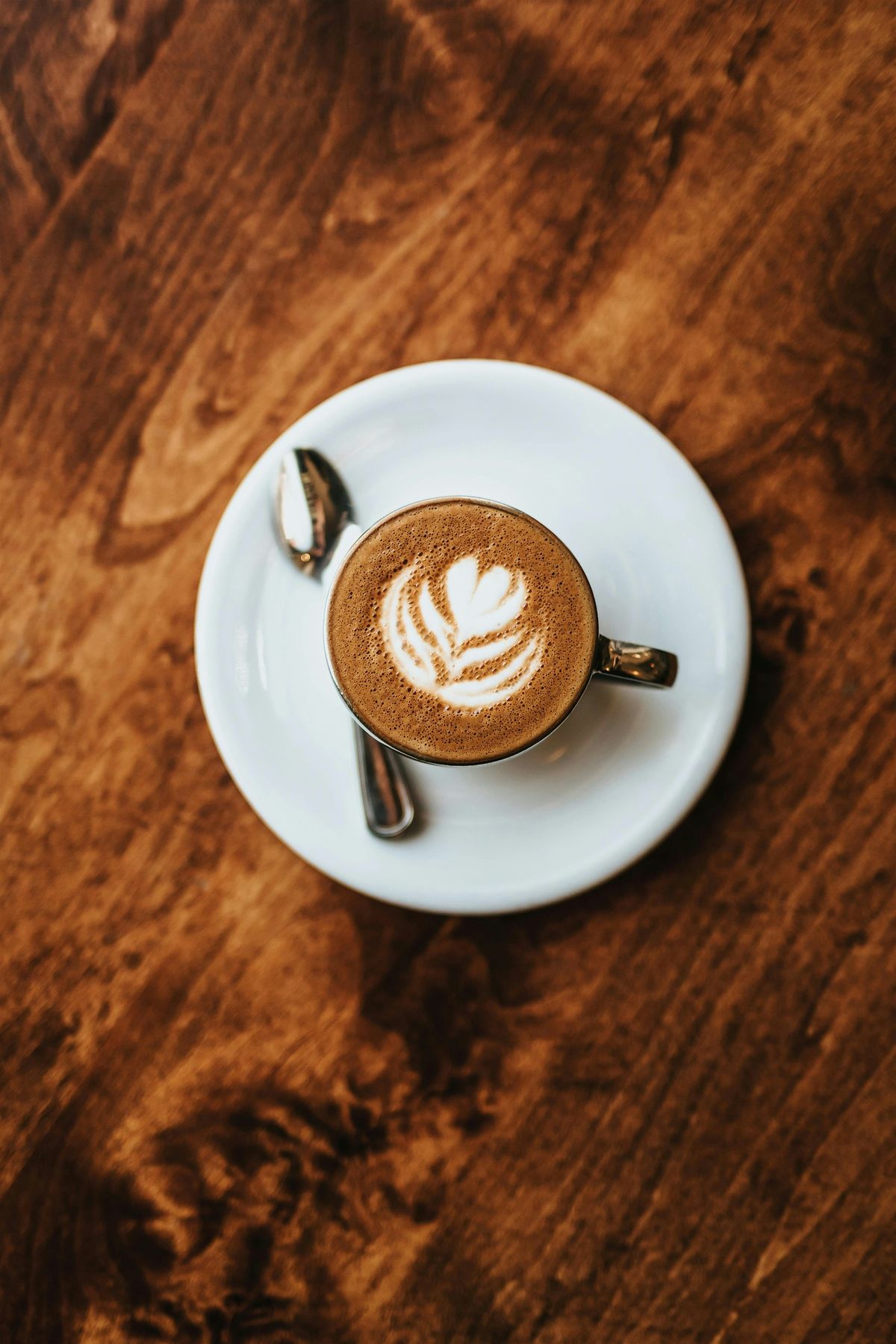 Carer Connect, 25 September | Event in Auckland | AllEvents