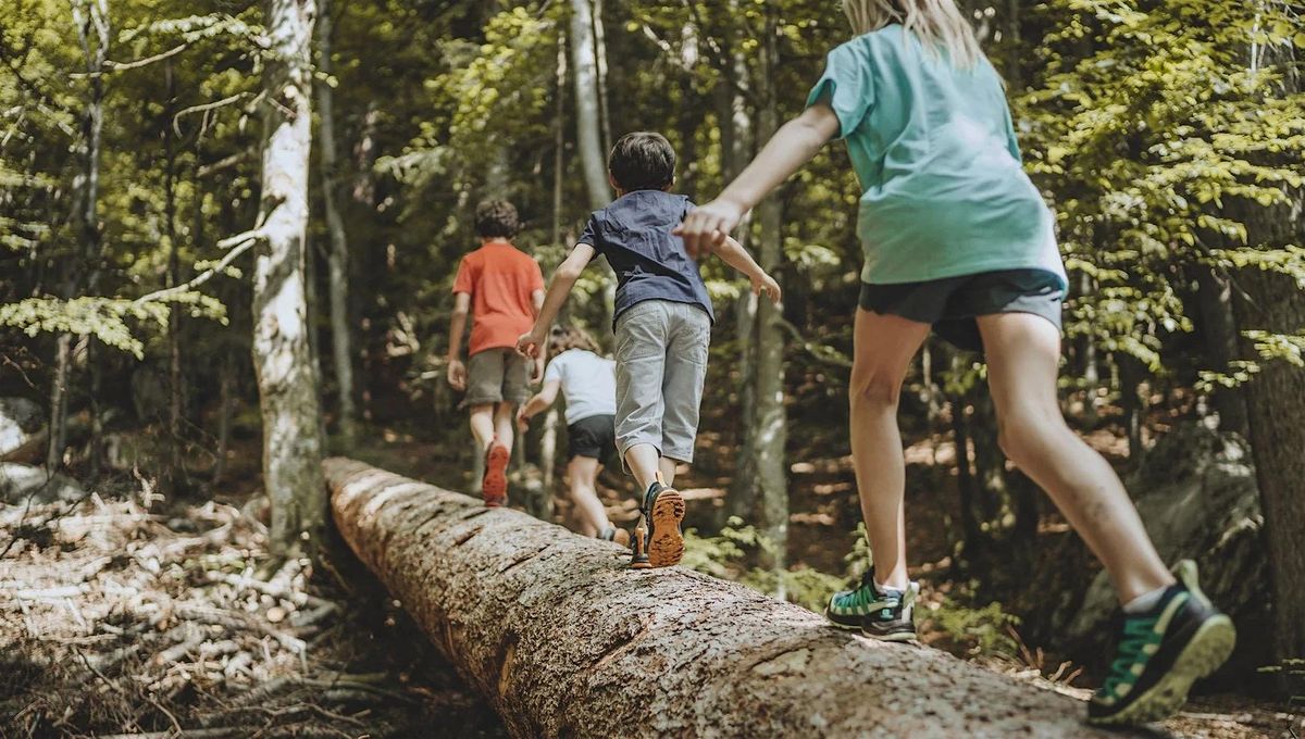 Copy of Buckley Wilderness Explorer Camp, 21 July | Event in Frankfort | AllEvents