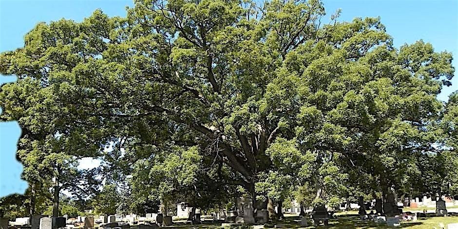 Cuyahoga Tree Summit 2025, 26 September | Event in Rocky River | AllEvents