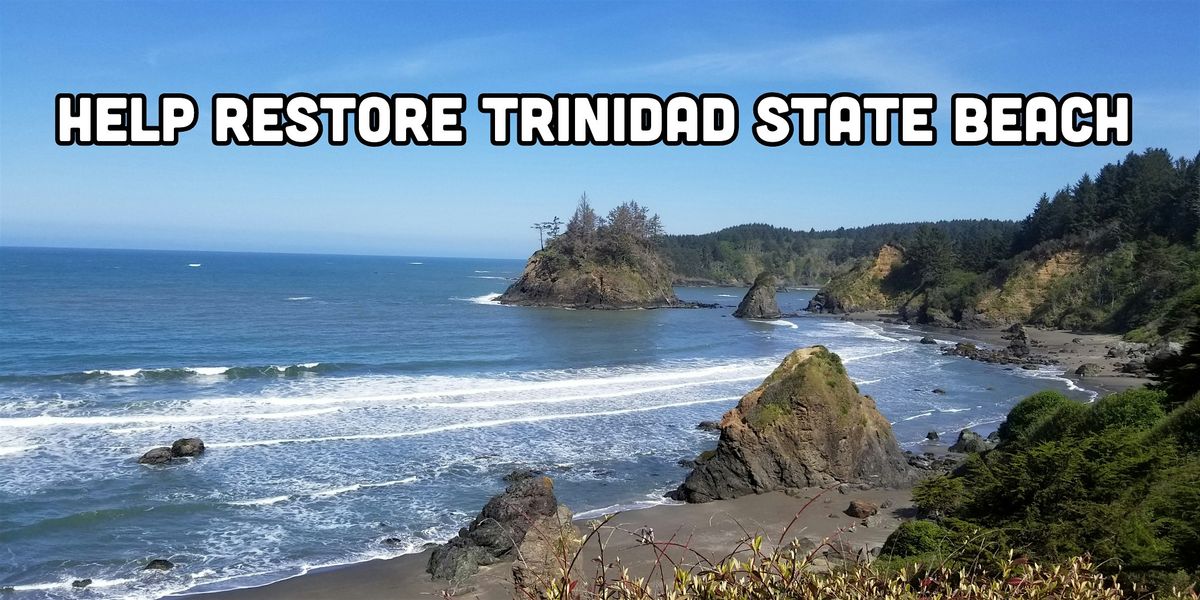 Help restore Trinidad State Beach! | Event in Trinidad | AllEvents