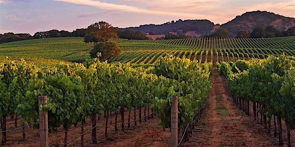 An evening with Luke Marquis of Mollydooker Wines, 8 May | Event in Ottawa | AllEvents