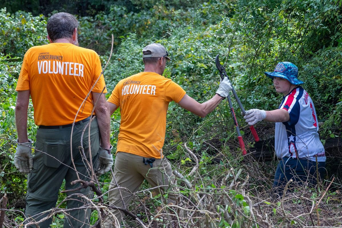 Volunteer Workday: Wizard Ranch Nature Preserve, 7 September | Event in Hallam | AllEvents