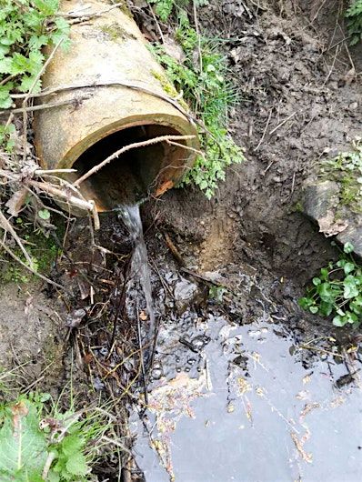 Outfall Safari Training | Event in Bramhall | AllEvents