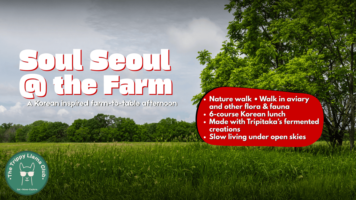 Seoul Soul at the Farm, 14 December | Event in Thrikkannamangal | AllEvents