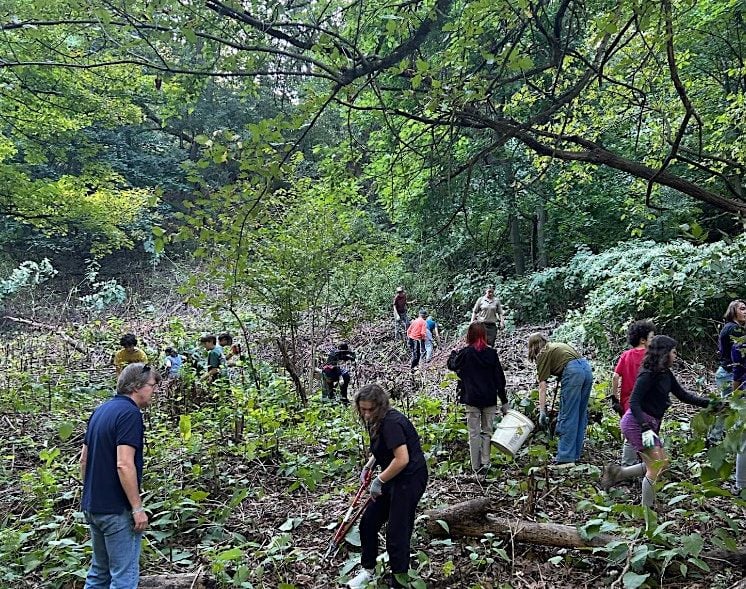 Frick Park August Conservation Crew, 4 August | Event in Pittsburgh | AllEvents