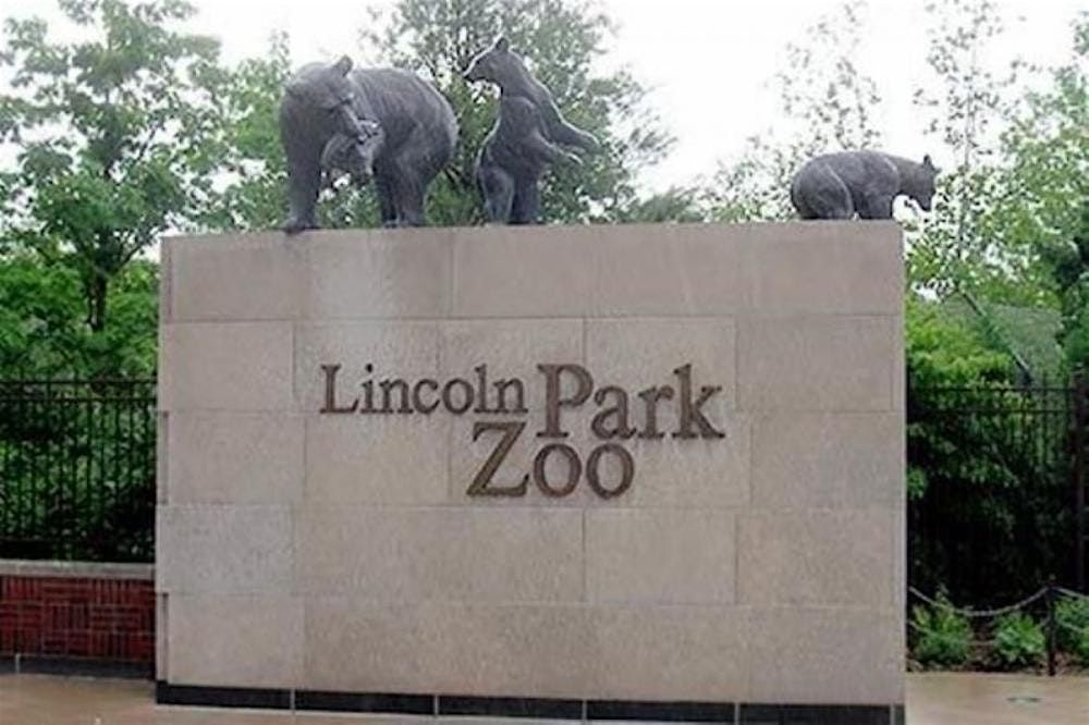 Lincoln Park Zoo-per Scavenger Hunt | Event in Chicago | AllEvents