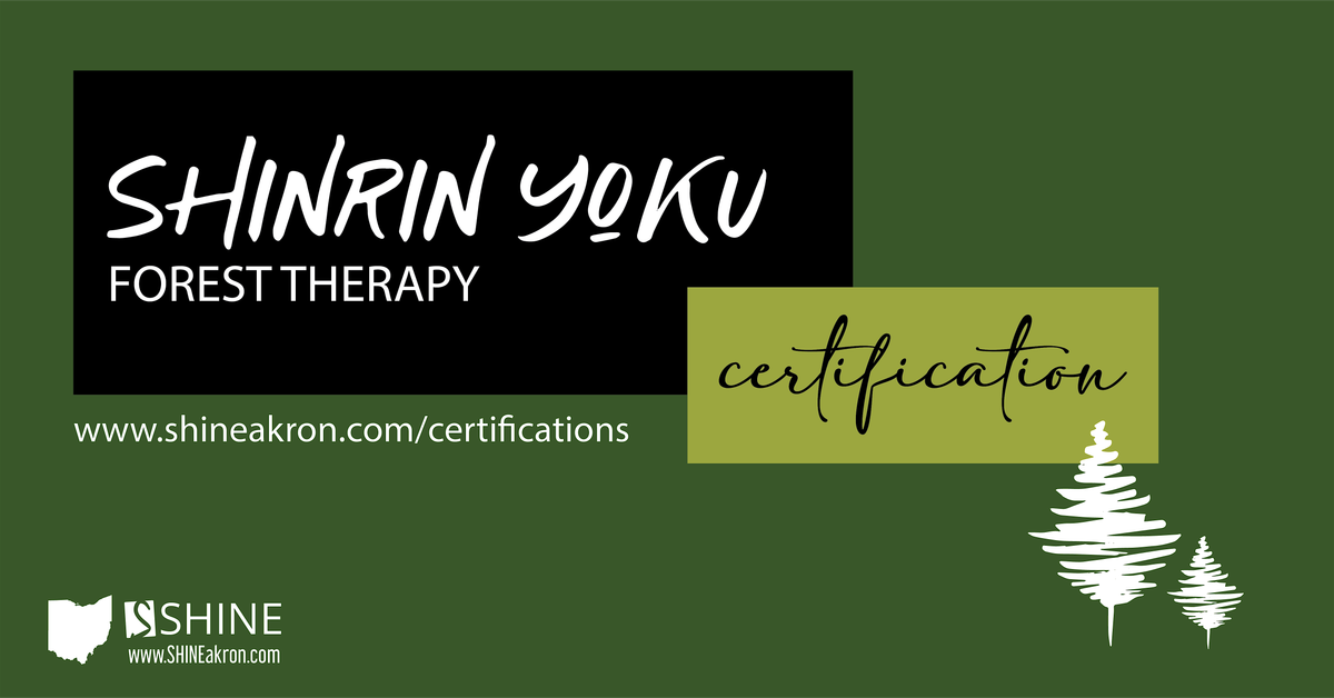 Shinrin Yoku: Forest Therapy Certification, 21 September | Event in Kent | AllEvents