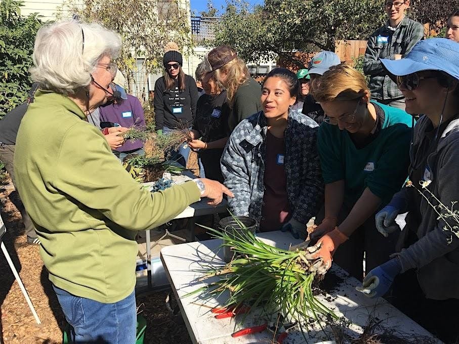 Plant Propagation with Pam Peirce, 31 May | Event in San Francisco | AllEvents