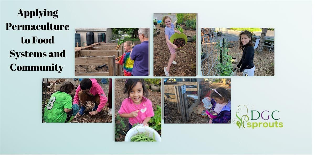 Applying Permaculture to Food Systems and Community with DGC Sprouts, 27 August | Event in Darien | AllEvents