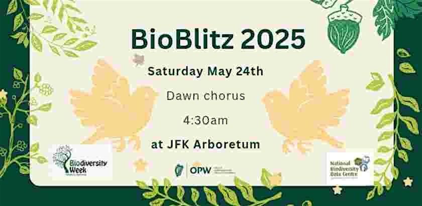 Dawn Chorus Walk at JFK Arboretum., 24 May | Event in New Ross | AllEvents