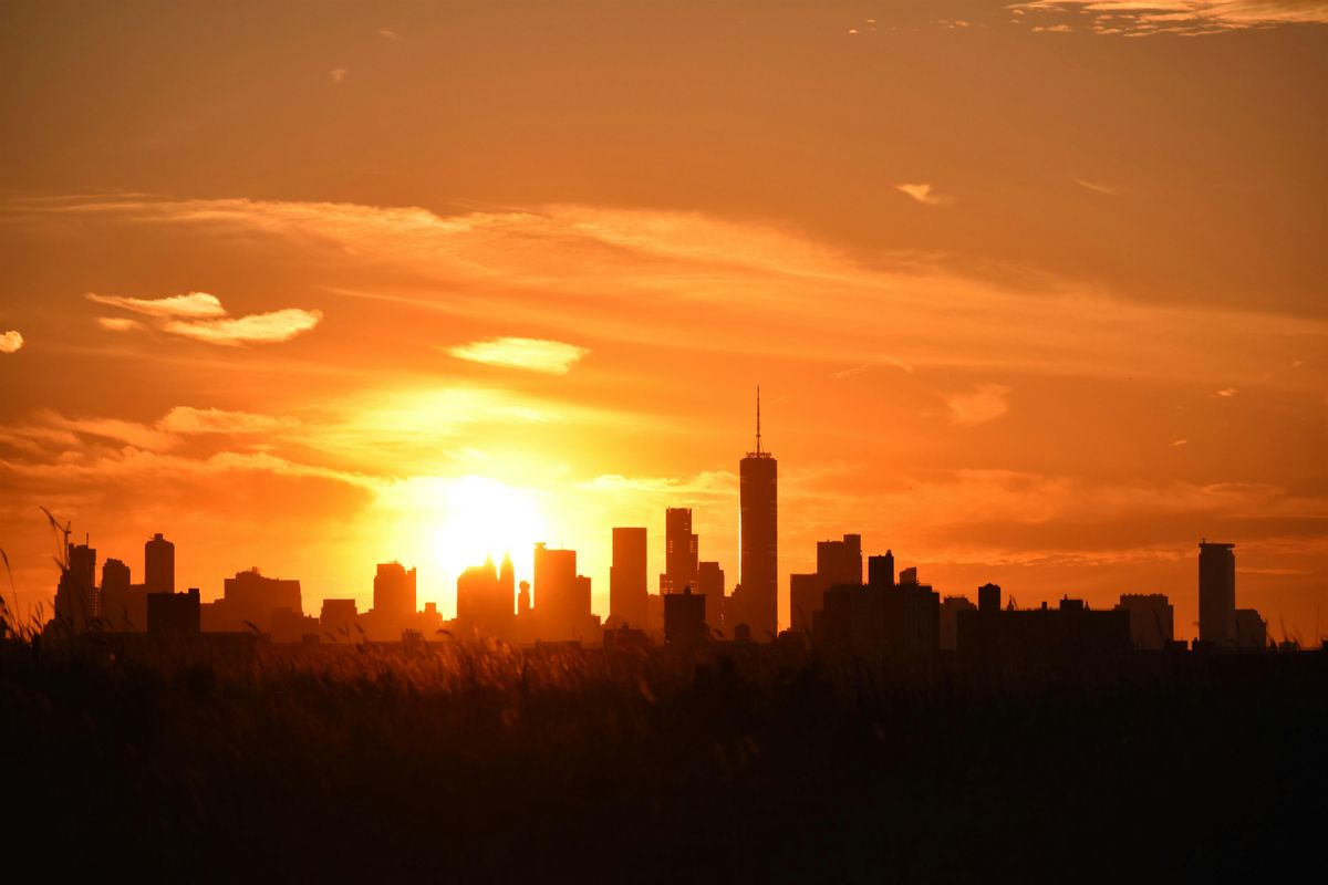 Black Birders Week: Sunset Birding with NYC Bird Alliance, 28 May | Event in Brooklyn | AllEvents
