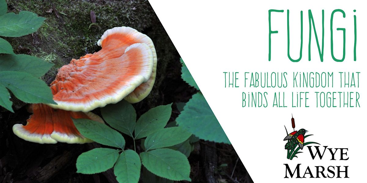 Fungi - The Fabulous Kingdom That Binds All Life Together, 28 September | Event in Midland | AllEvents