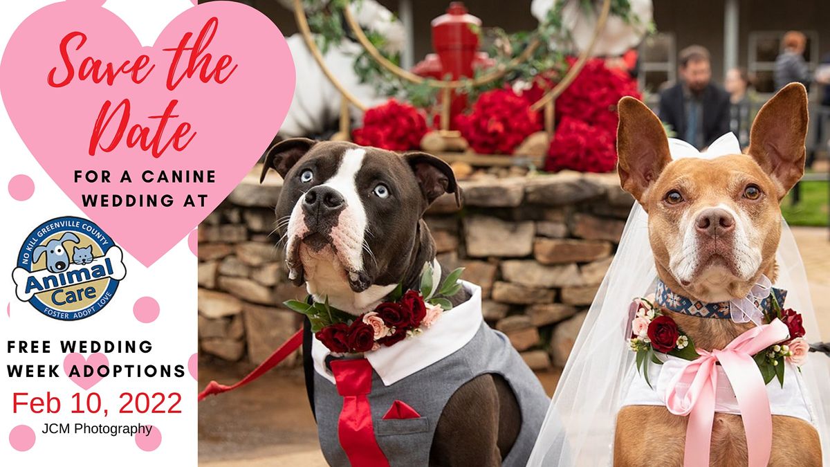 Events In Greenville Sc In February 2021 Greenville Sc Calendar Of Events February 2022