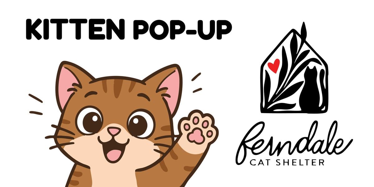 Kitten Pop Up, 23 August | Event in Ferndale | AllEvents