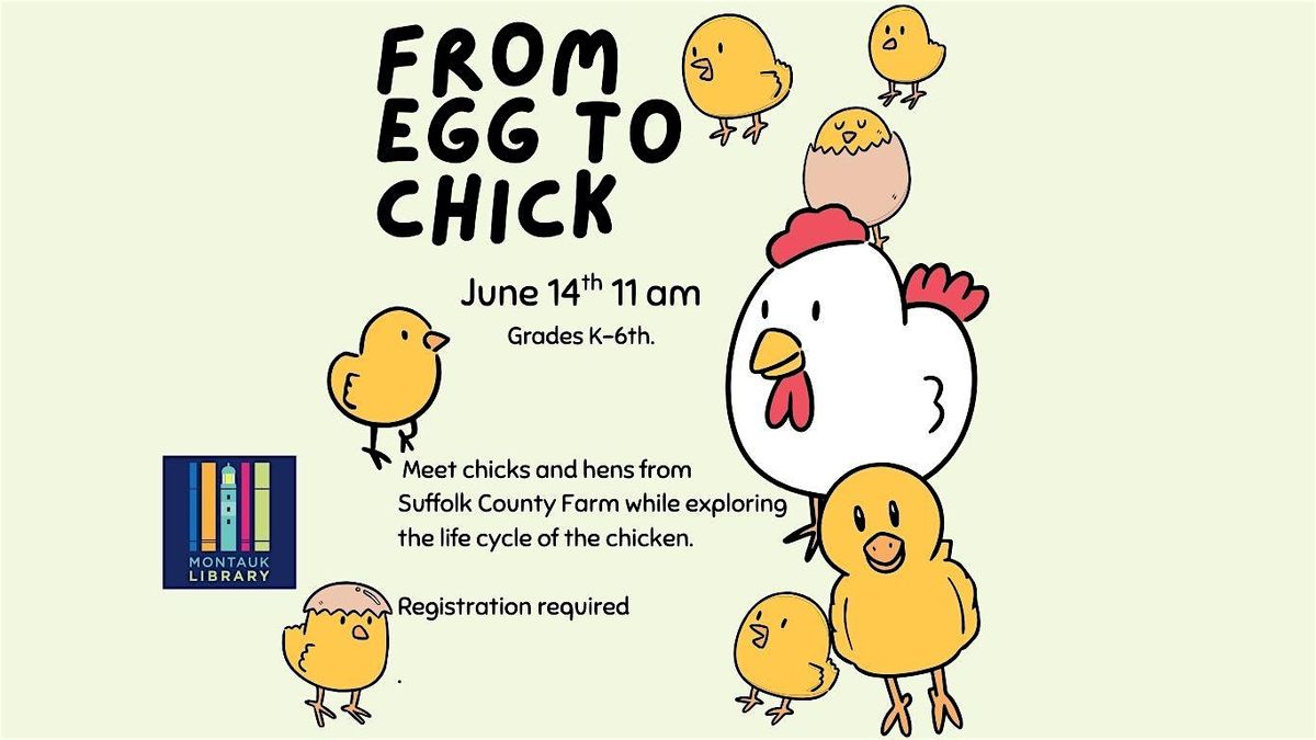 From Egg to Chick - Grades K-6th, 14 June | Event in Montauk | AllEvents