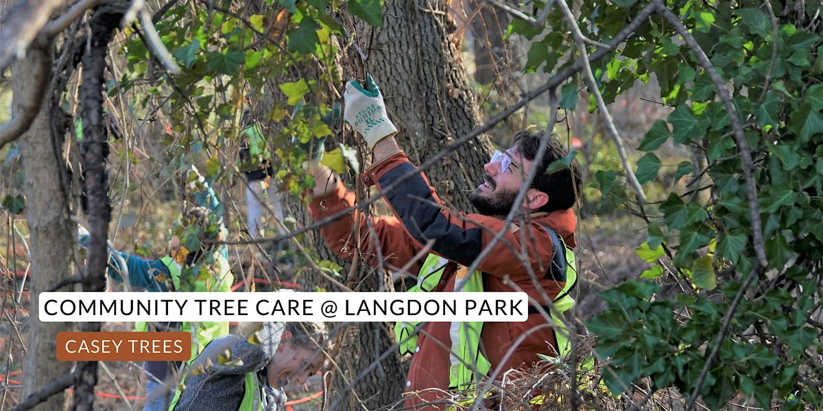 Community Conservation at Langdon Park, 28 June | Event in Washington | AllEvents