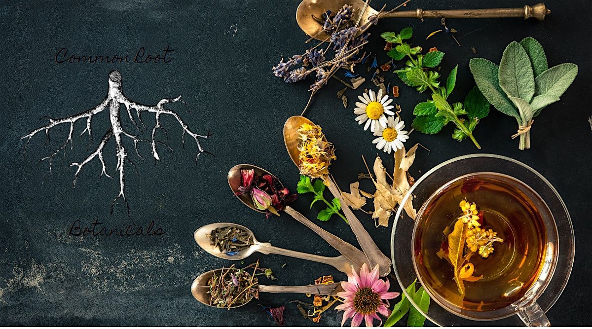 Tea Making Workshop w/ Common Root Botanicals | Event in Newport | AllEvents