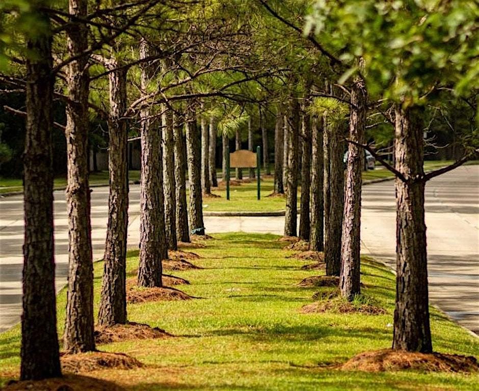 A Date Night Adventure! - Conroe scavenger hunt | Event in Conroe | AllEvents