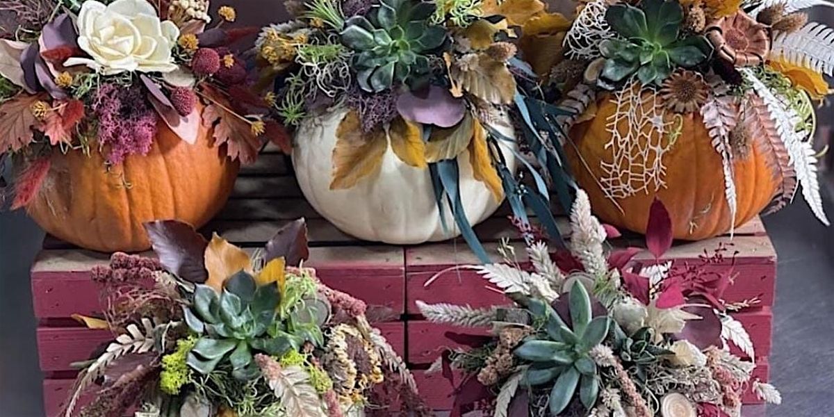 Succulent Pumpkin Workshop, 23 October | Event in Bangor | AllEvents
