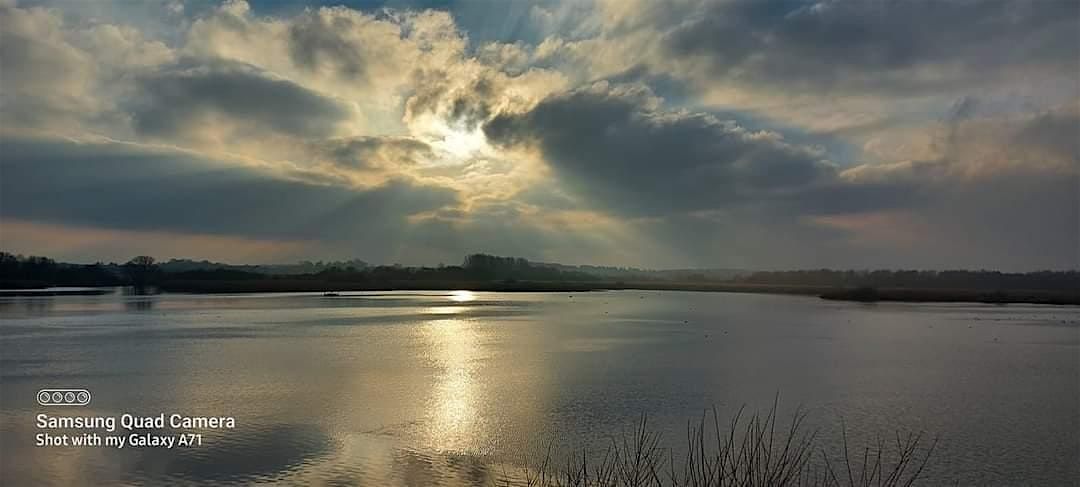 Stodmarsh NNR Bat Walk, 30 August | Event in Canterbury | AllEvents