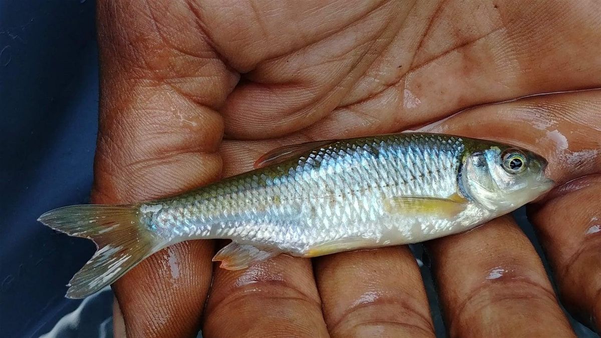 Family Fishing, 17 June | Event in Philadelphia | AllEvents