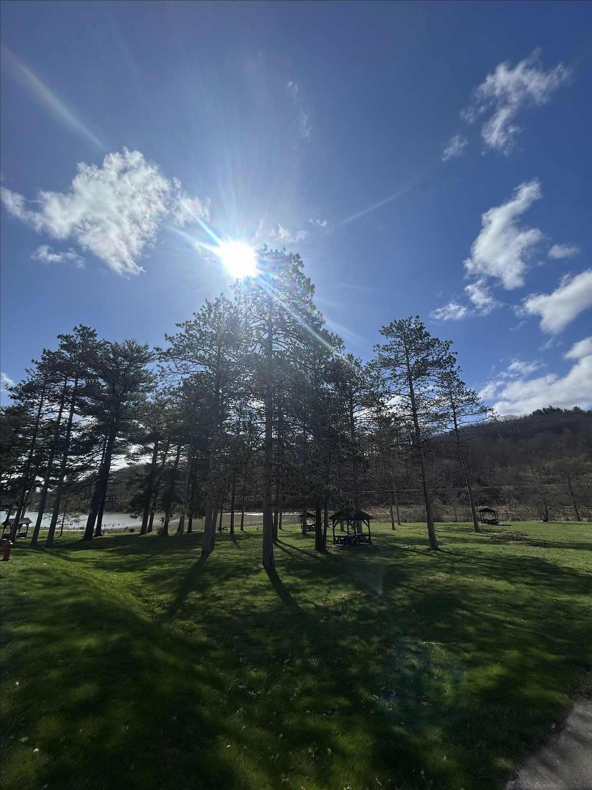 Yoga for Lunch | Event in McCandless | AllEvents