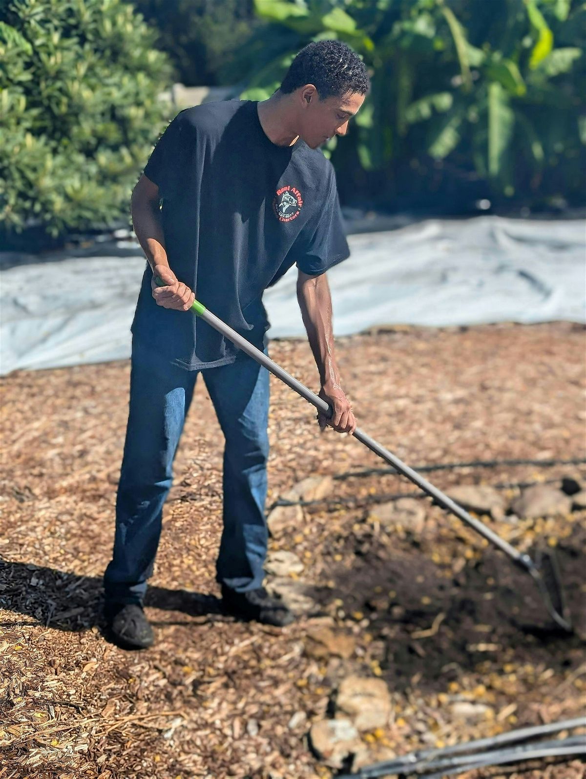 Food Forest Workday: Open to Everyone!, 5 December | Event in Tampa | AllEvents