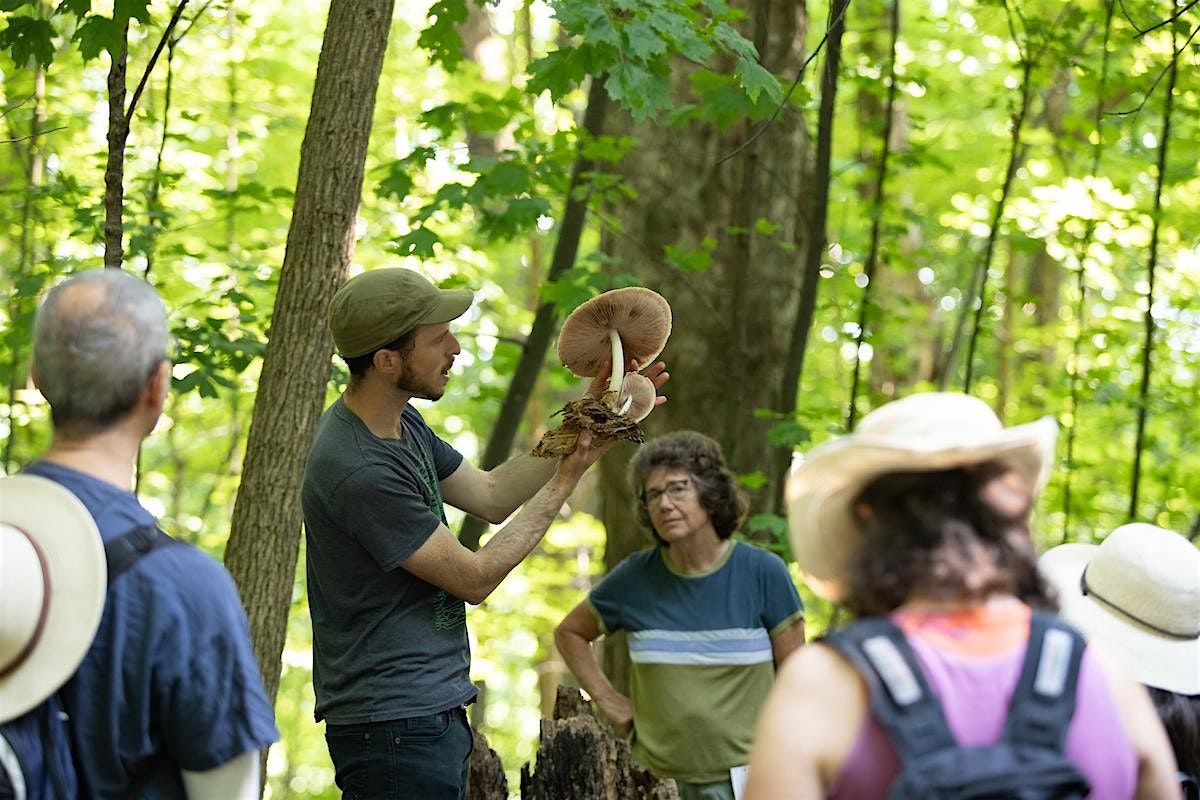 Wild Mushroom Foray, 21 September | Event in Shelburne | AllEvents