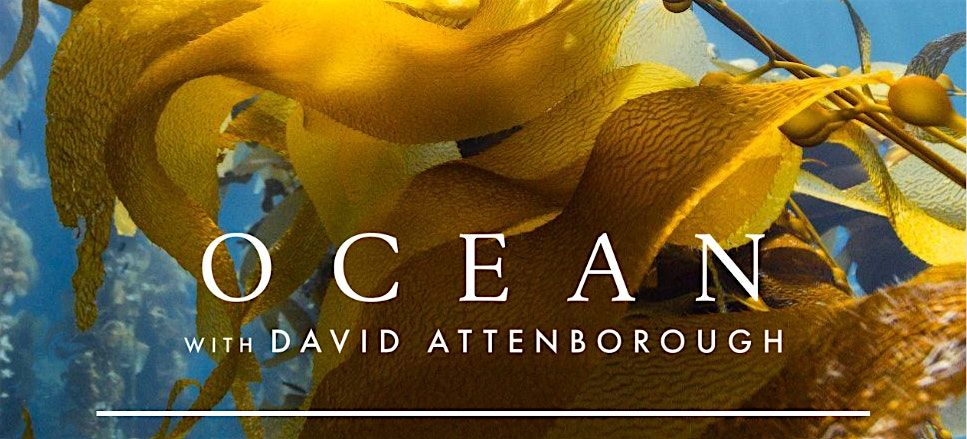 Ocean with David Attenborough: Community Screening & Q&A, 13 October | Event in Glasgow | AllEvents