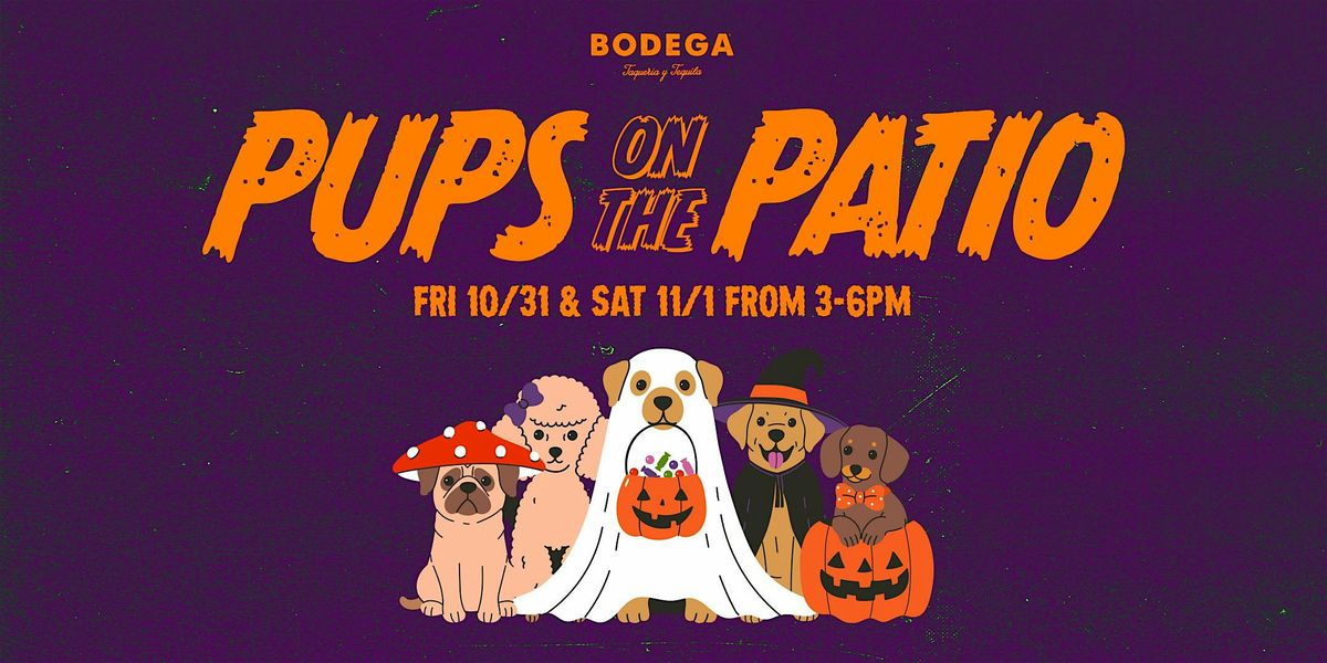 Pups on The Patio with Anti-Cruelty Society, 7 December | Event in Chicago | AllEvents